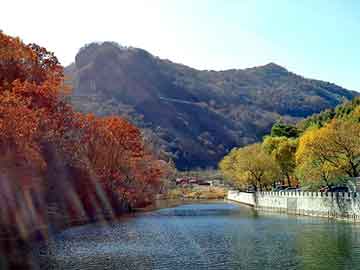 新澳天天开奖资料大全旅游团，小烘箱